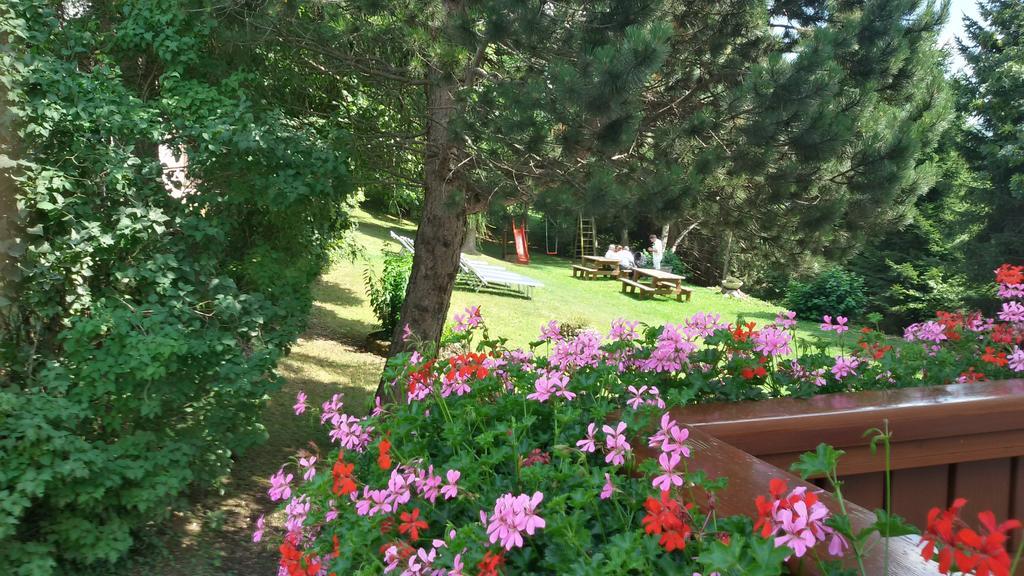 Hotel Trentino Folgaria Zewnętrze zdjęcie